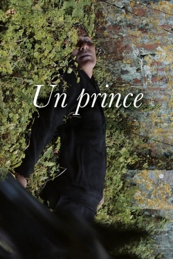 watch free A Prince