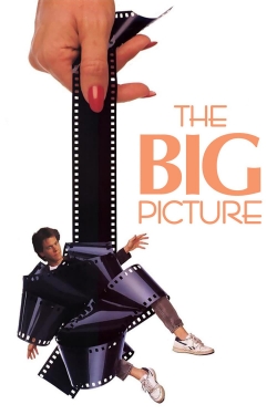 watch free The Big Picture