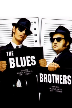watch free The Blues Brothers