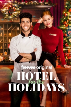 watch free Hotel for the Holidays