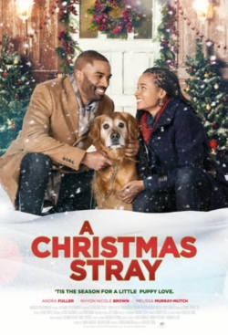 watch free A Christmas Stray