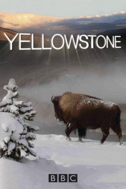 watch free Yellowstone