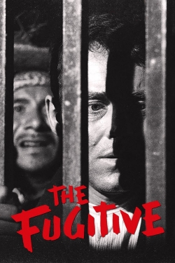 watch free The Fugitive