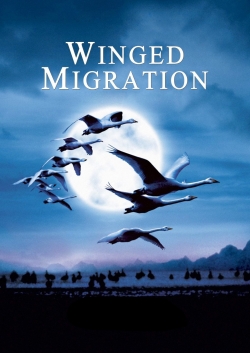 watch free Winged Migration