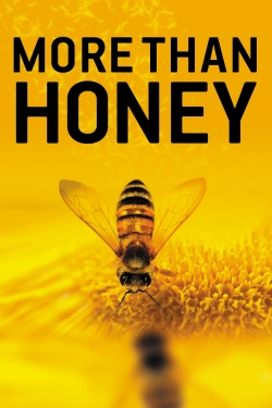 watch free More Than Honey
