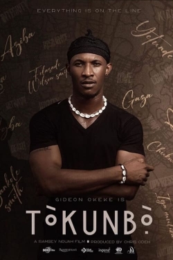 watch free Tòkunbò̩