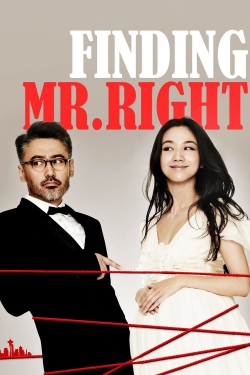 watch free Finding Mr. Right