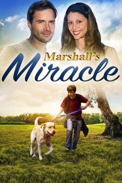 watch free Marshall's Miracle