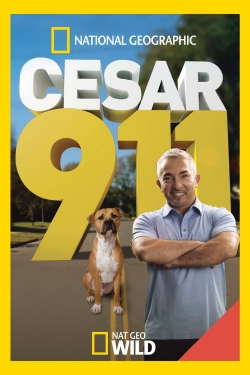 watch free Cesar 911