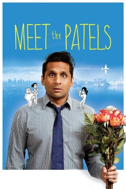 watch free Meet the Patels