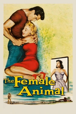 watch free The Female Animal