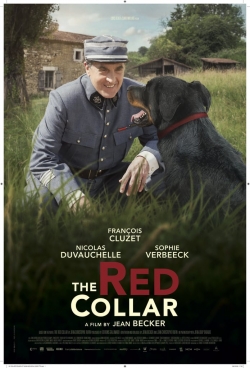 watch free The Red Collar
