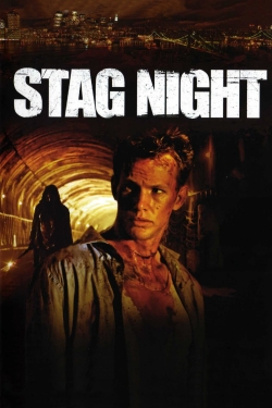 watch free Stag Night
