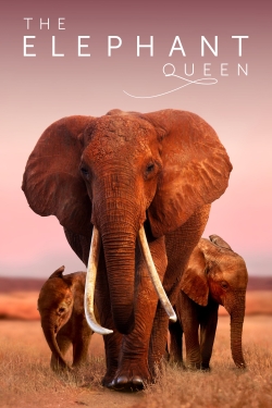 watch free The Elephant Queen