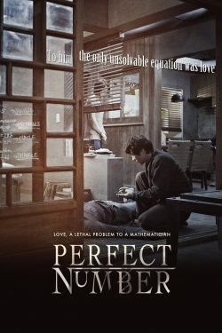 watch free Perfect Number