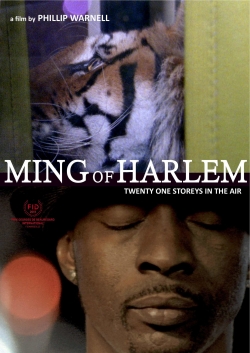 watch free Ming of Harlem: Twenty One Storeys in the Air