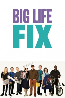 watch free The Big Life Fix