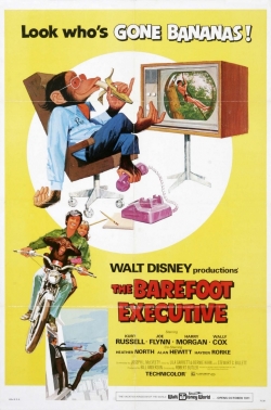 watch free The Barefoot Executive