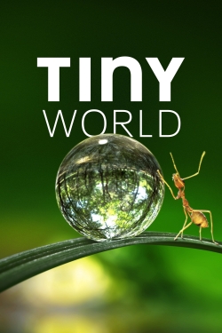 watch free Tiny World