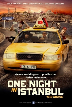 watch free One Night in Istanbul