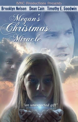 watch free Megan's Christmas Miracle