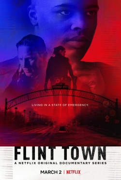 watch free Flint Town