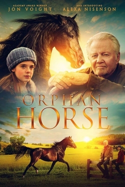 watch free Orphan Horse