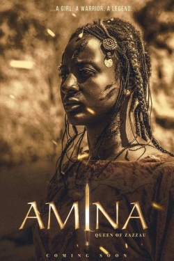 watch free Amina