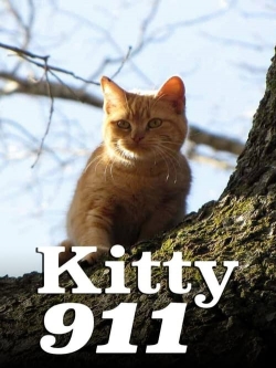 watch free Kitty 911