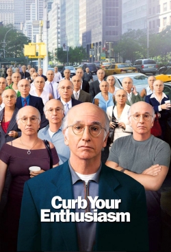 watch free Larry David: Curb Your Enthusiasm