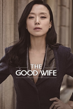 watch free The Good Wife