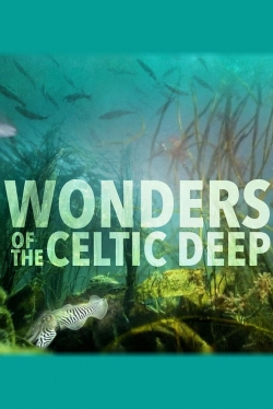 watch free Wonders of the Celtic Deep