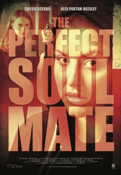 watch free The Perfect Soulmate