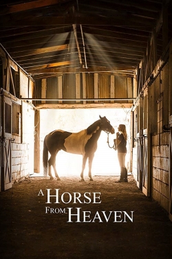 watch free A Horse from Heaven