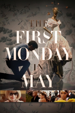 watch free The First Monday in May