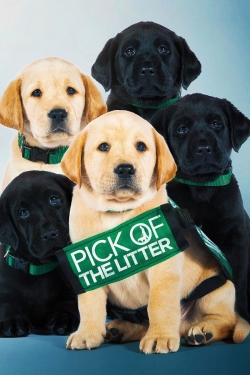 watch free Pick of the Litter