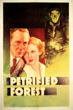 watch free The Petrified Forest