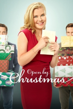 watch free Open by Christmas